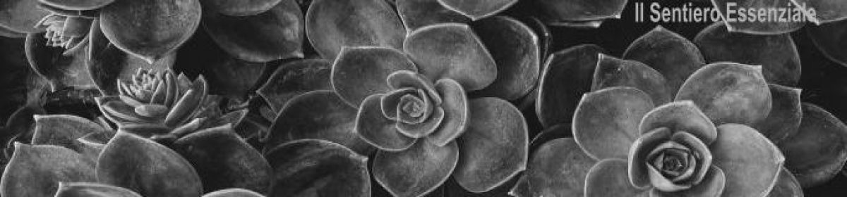 Il Sentiero Essenziale
